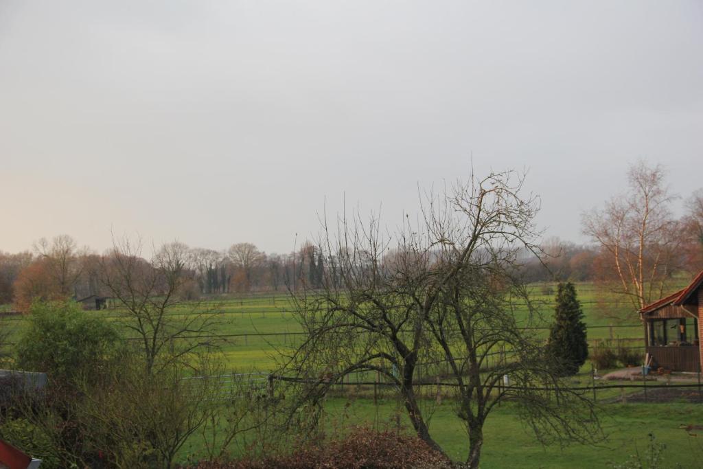 Gasthaus Eickholt Gmbh Ascheberg  Oda fotoğraf
